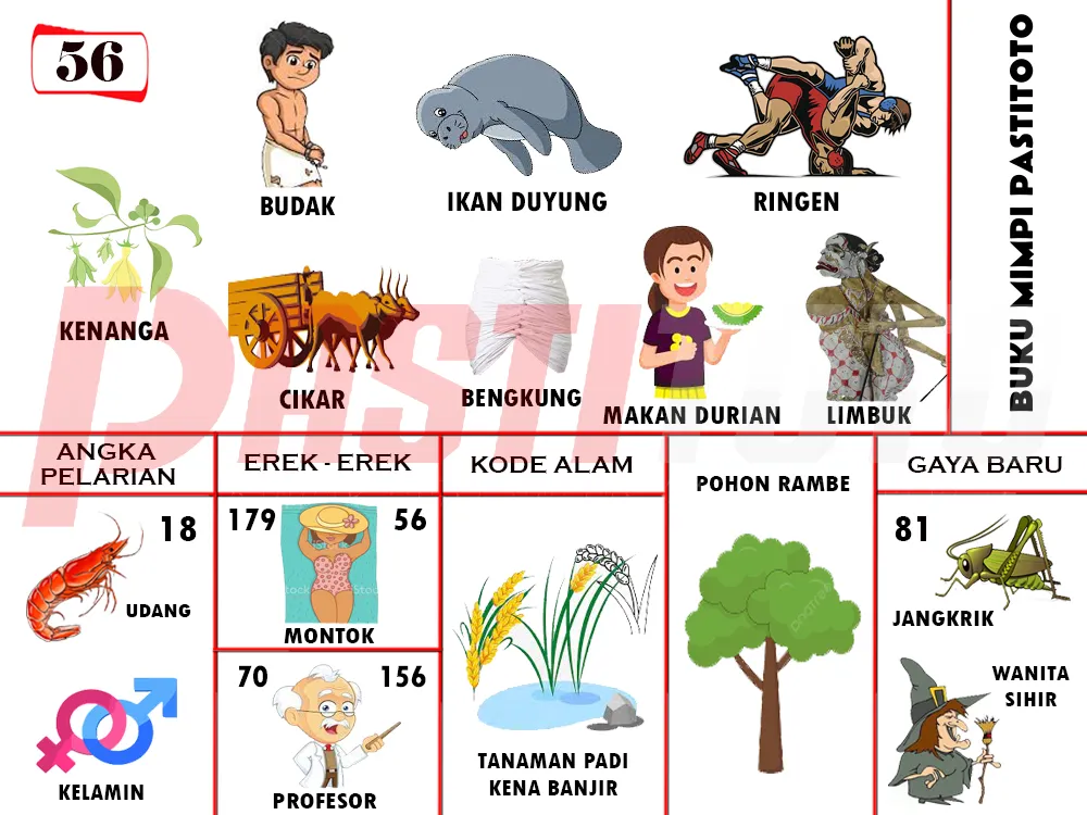 buku mimpi erek erek togel 56